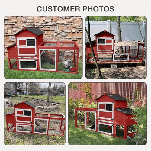 Grey Poultry Cage with Wheels, Nesting Box, Tray, and Roof H891