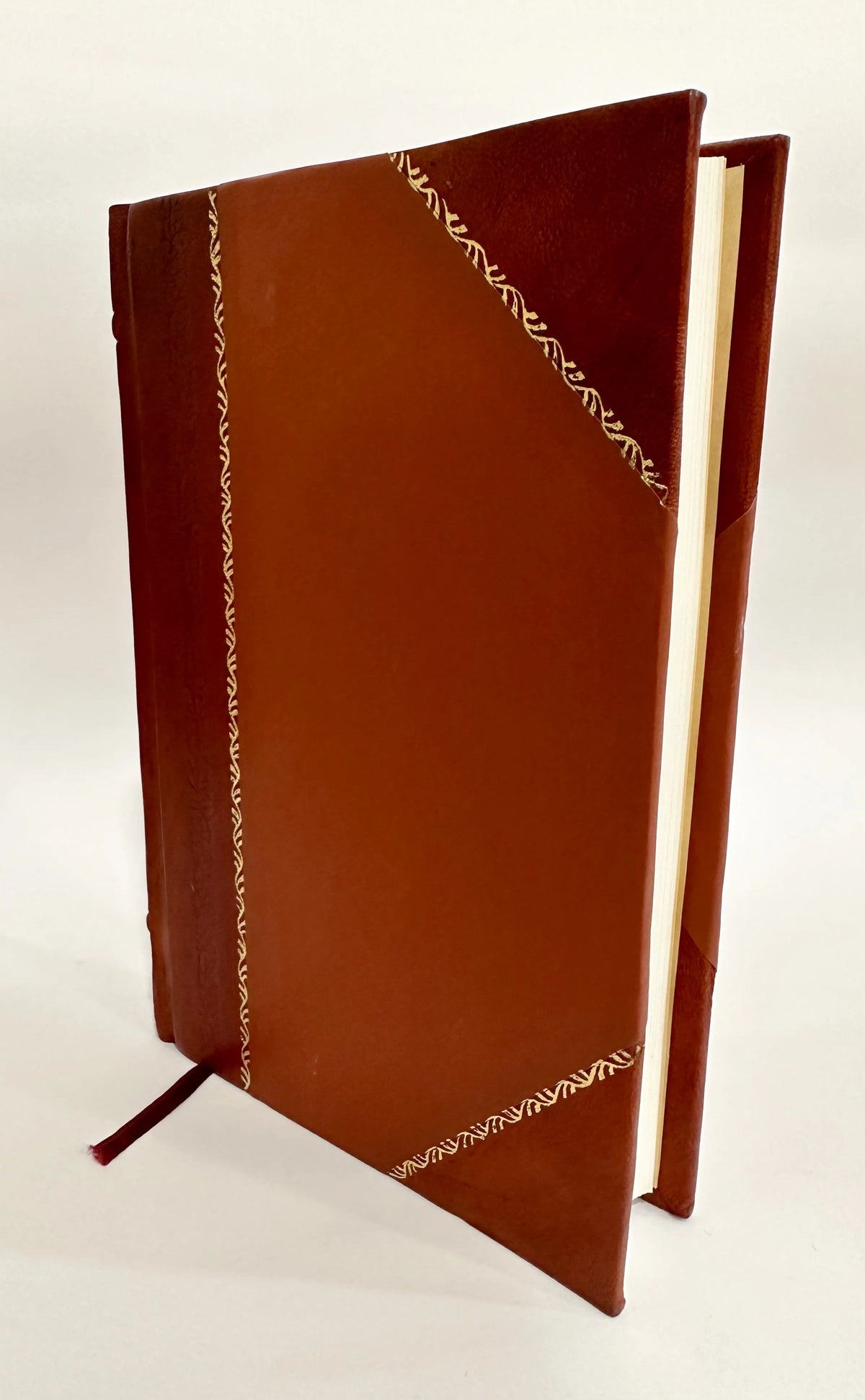 1891 Roanoke Virginia Investment Opportunities Manufacturing Advantages Transportation Service Trade Facilities Home Attractions Leather Bound K16482