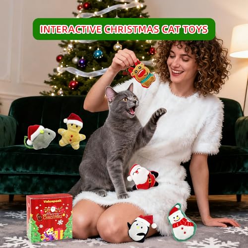 6 Pack Plush Catnip Cat Toys with Gift Box T480783