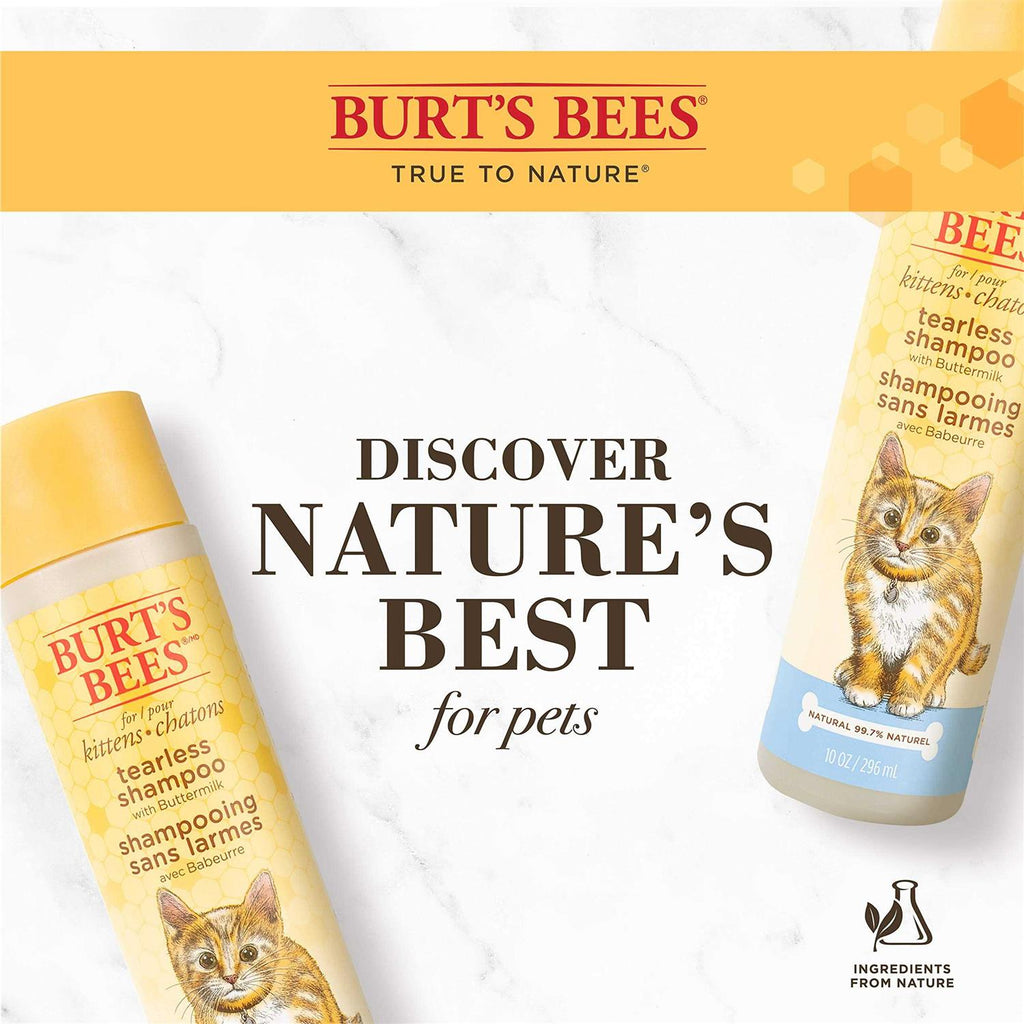 Tearless Shampoo for Kittens with Buttermilk L264615