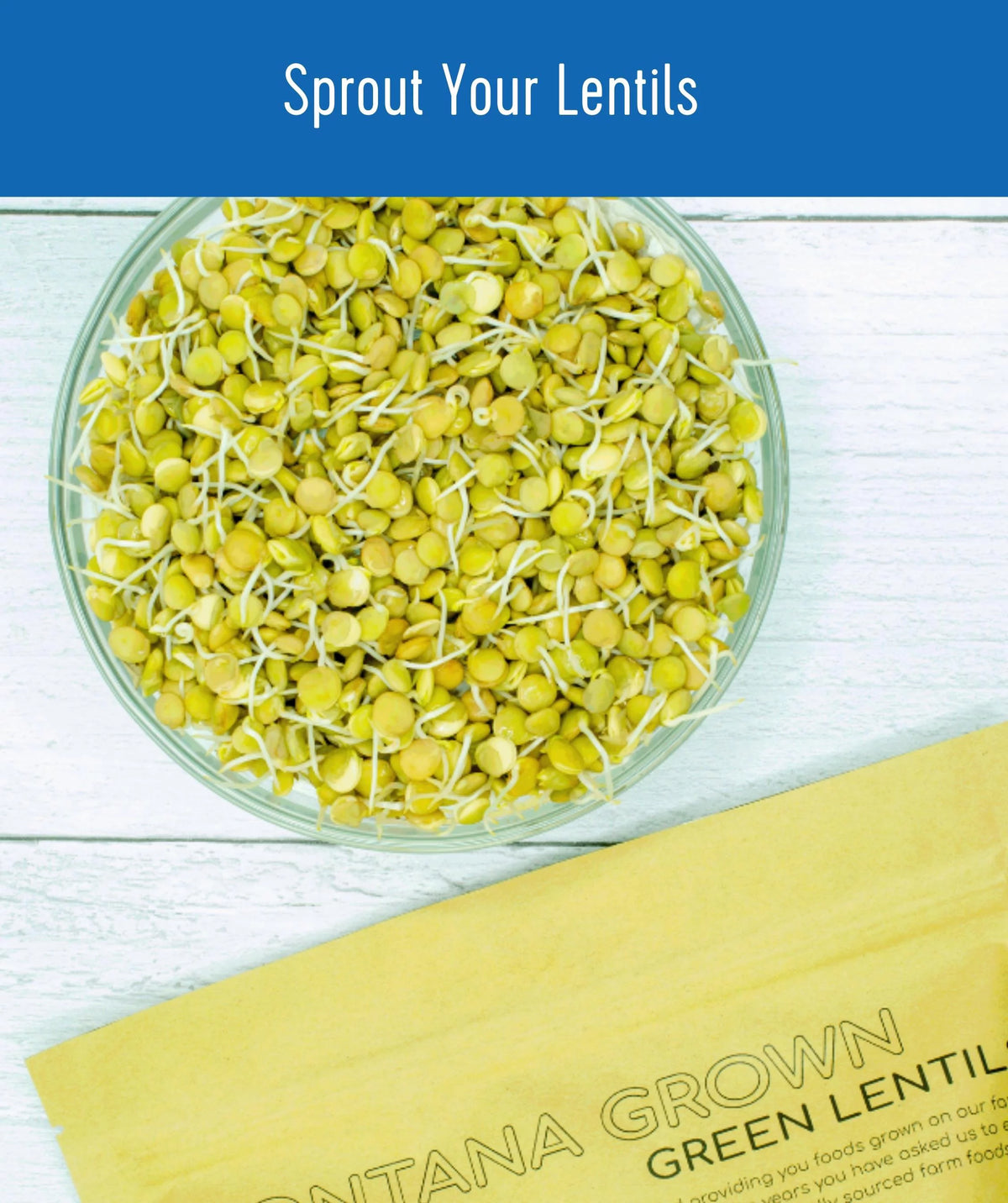 Green Lentils 25 lbs Non-GMO Dried E66697