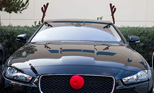 Reindeer Antlers & Nose Christmas Decorations X296592