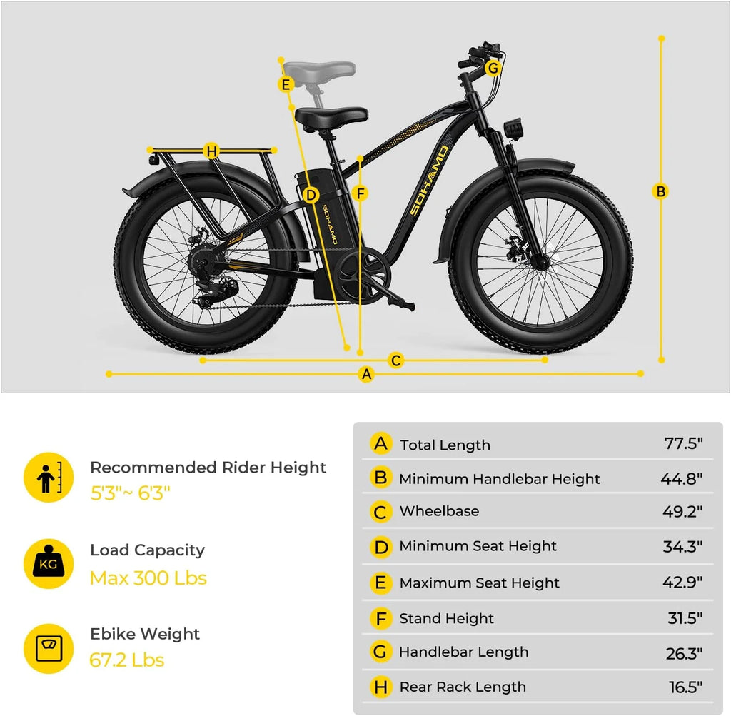 Foldable 20 Fat Tire Electric Bike with 750W Motor V16247