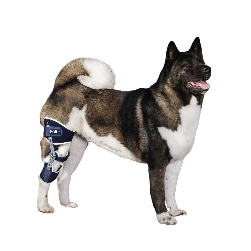 Adjustable Hinged Dog Knee Brace H85165