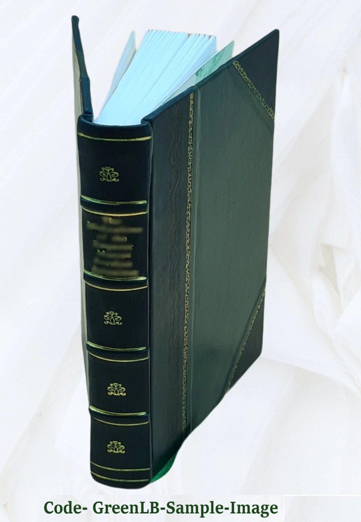 Leather Bound Book A668920