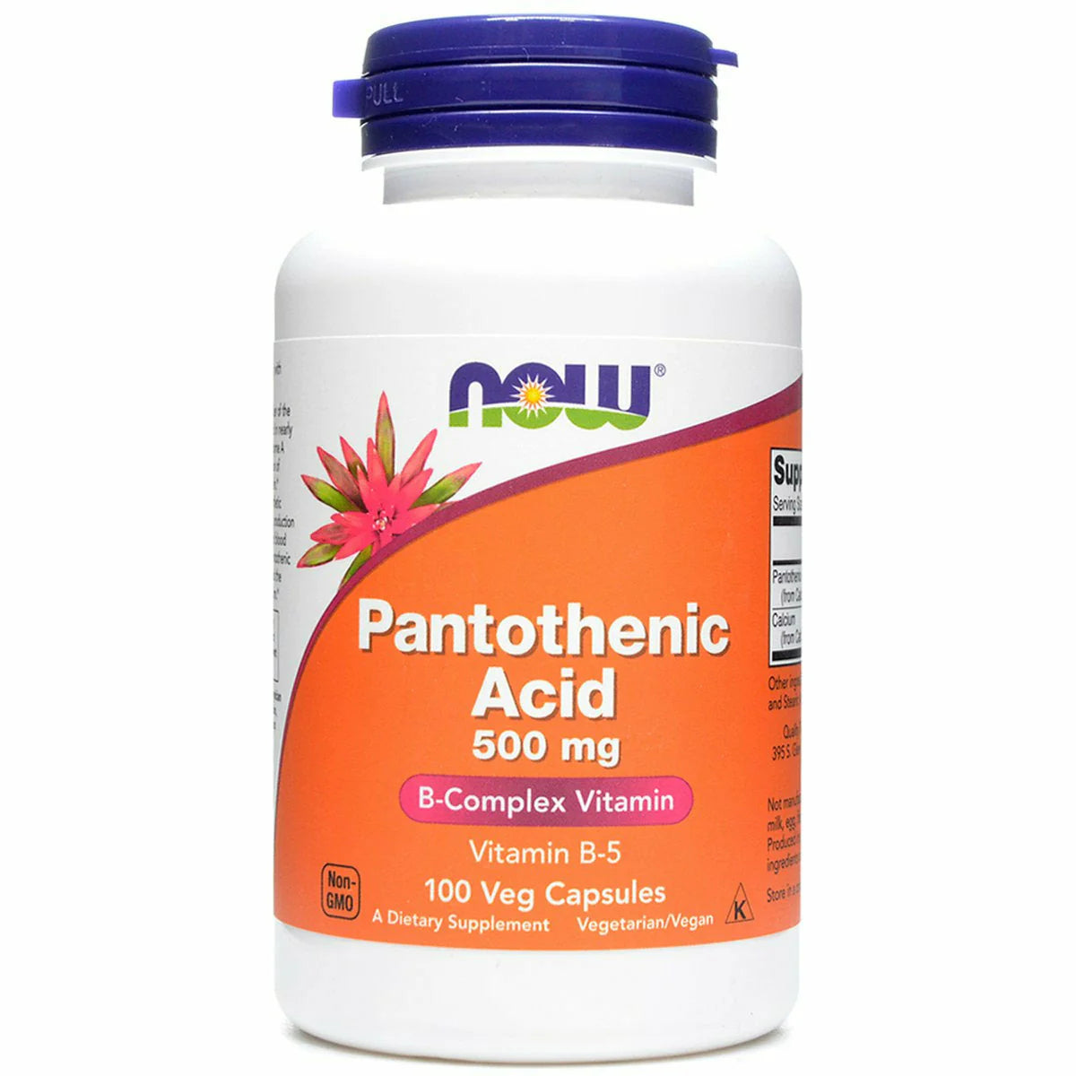 Pantothenic Acid 500 mg 100 caps R2727